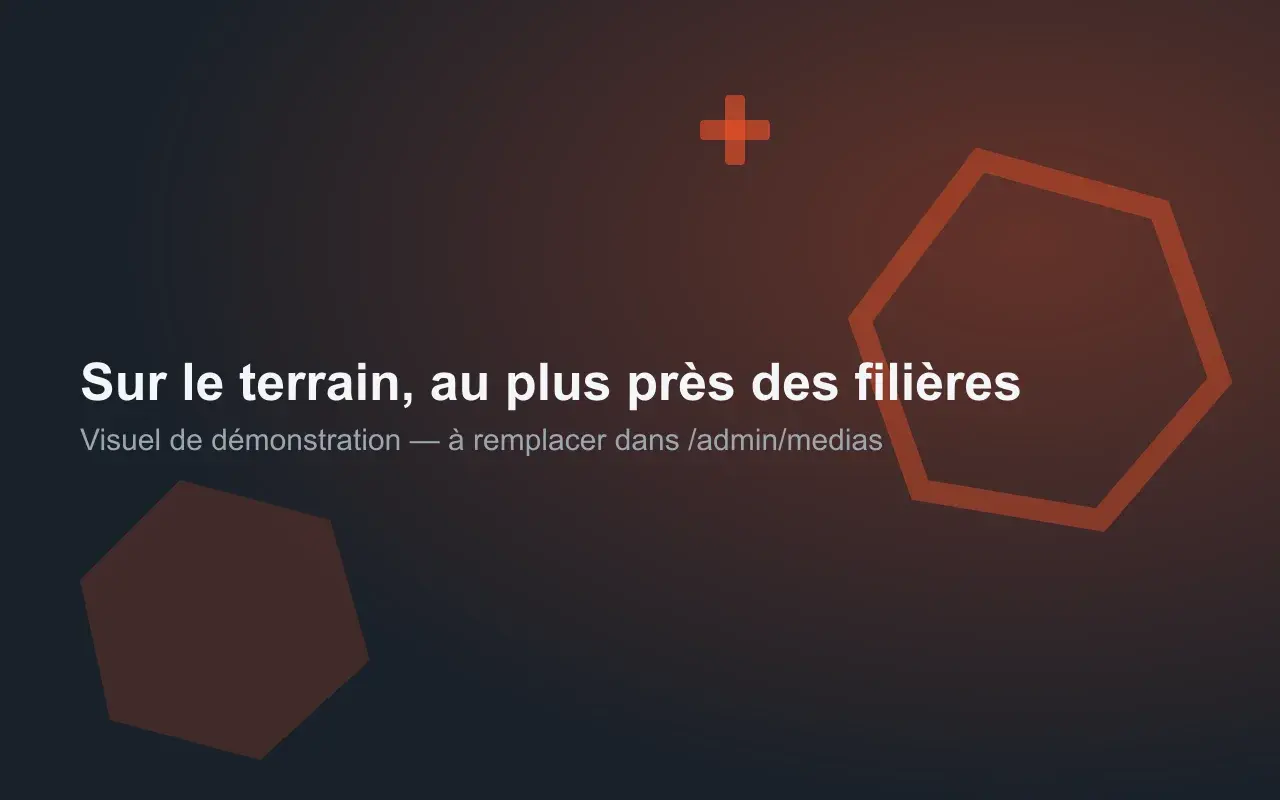 Le terrain d'abord